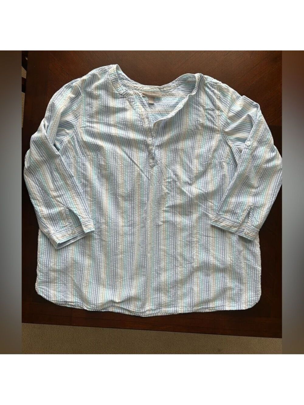 Blouse--Woman Within Blue Stripes